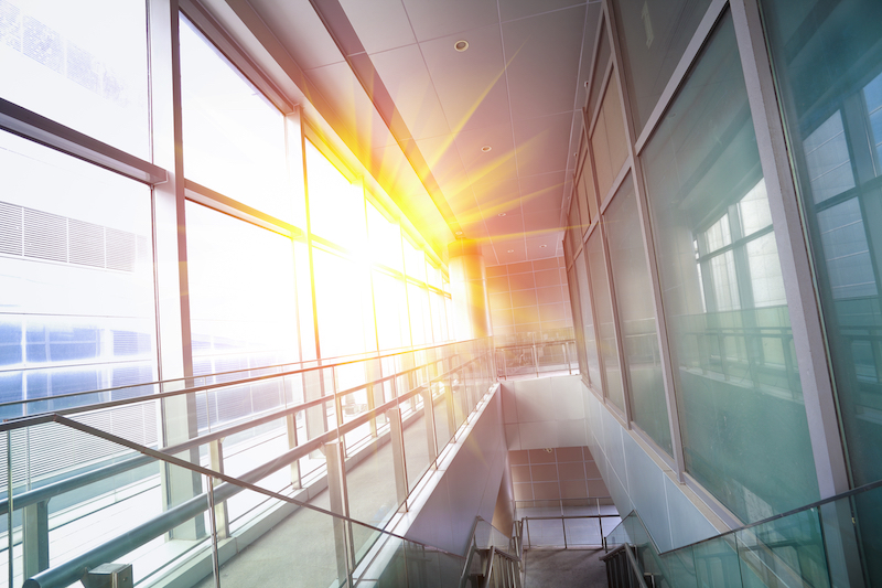 tegenlicht in de camera